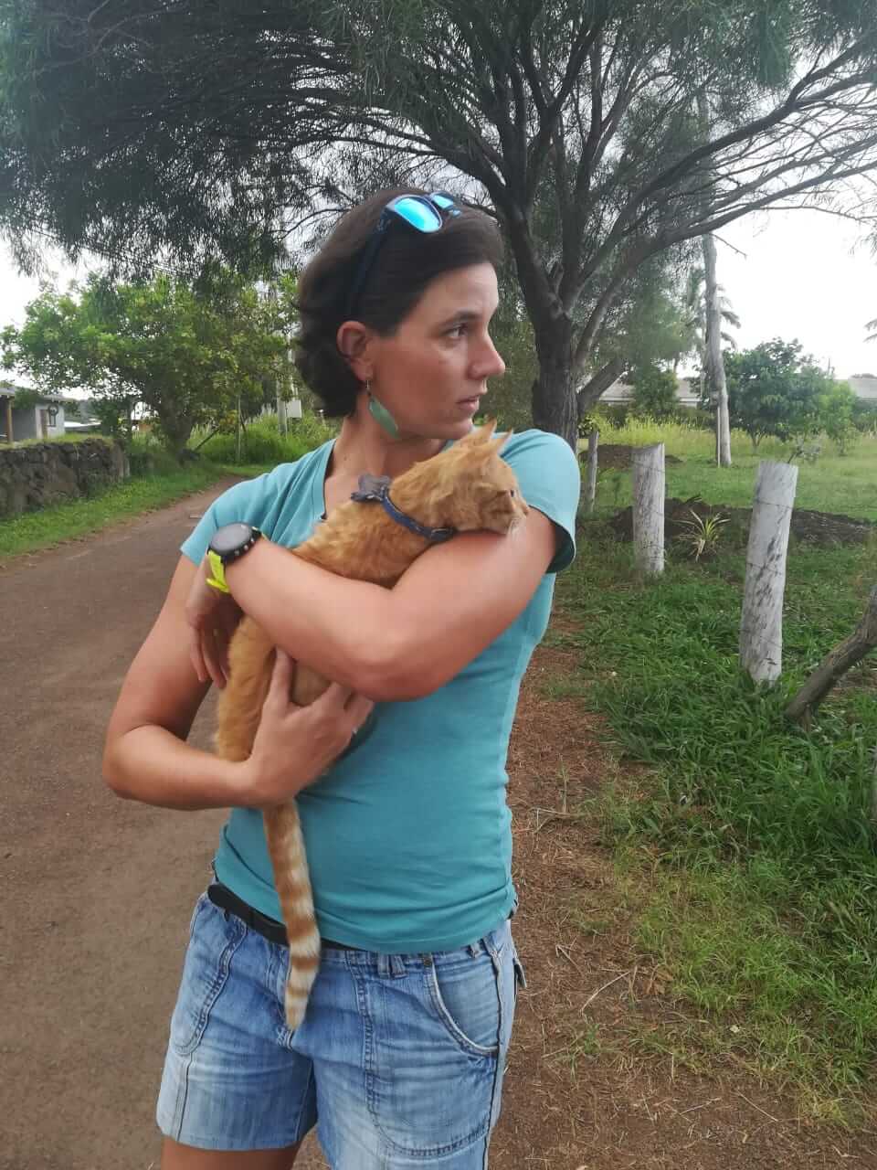 Easter Island Musings – Day before the swim