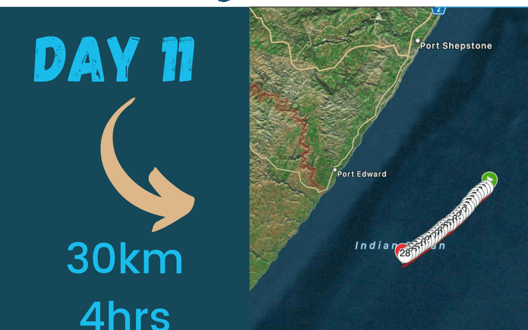 One Ocean Swim Day 11