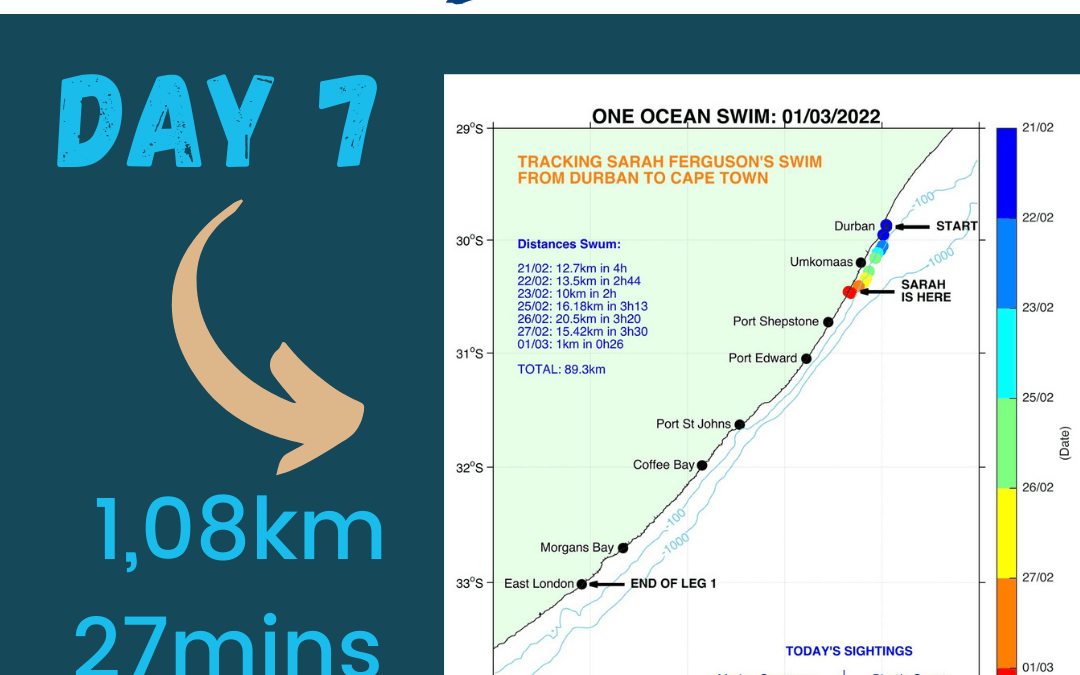 One Ocean Swim Day 7