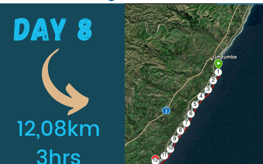 One Ocean Swim Day 8